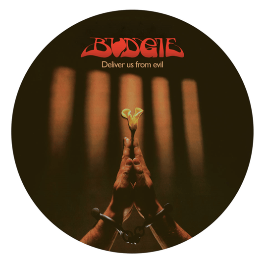Budgie Deliver Us From Evil picture disc LP featuring classic rock tracks