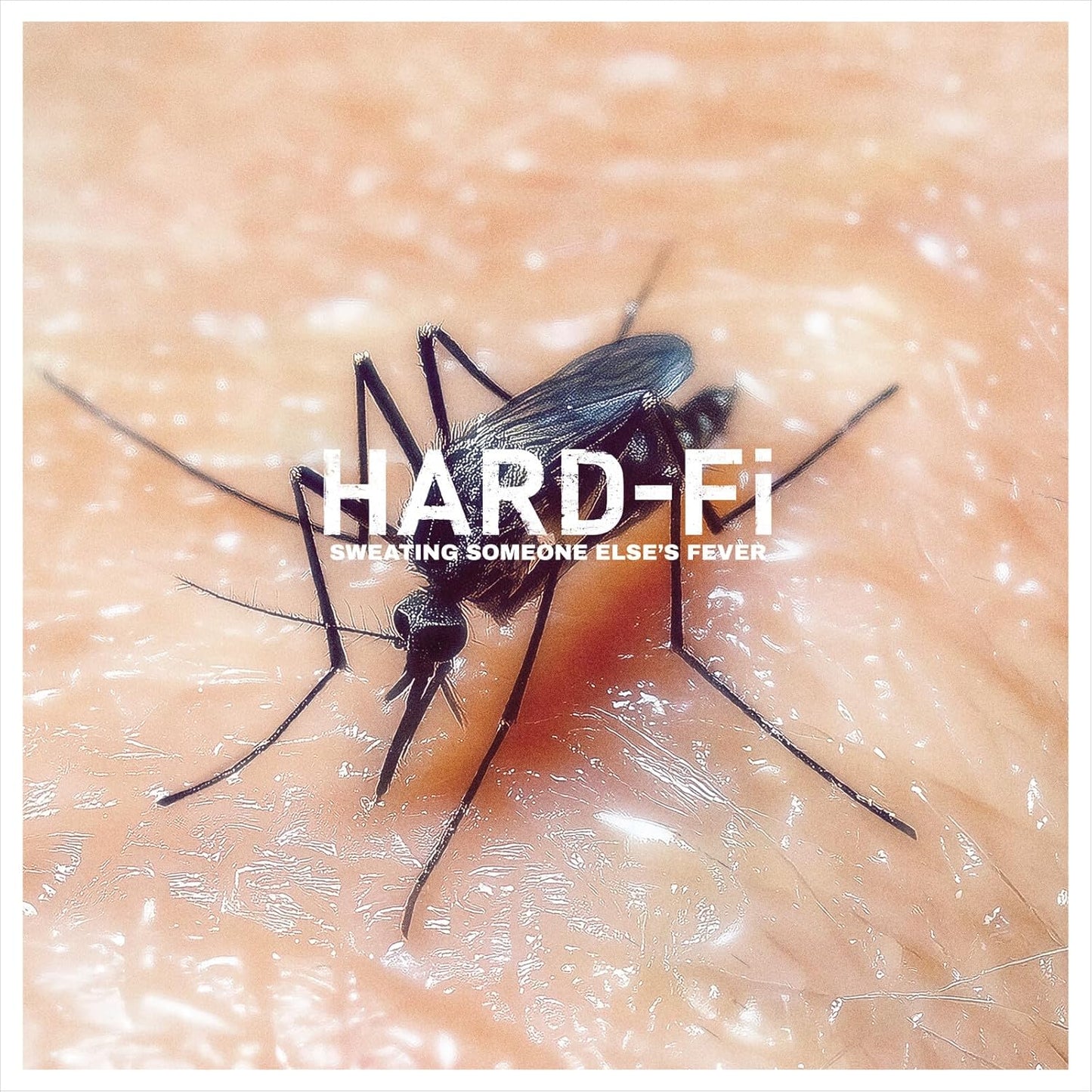 Hard-Fi Sweating Someone Else's Fever LP featuring energetic British indie rock