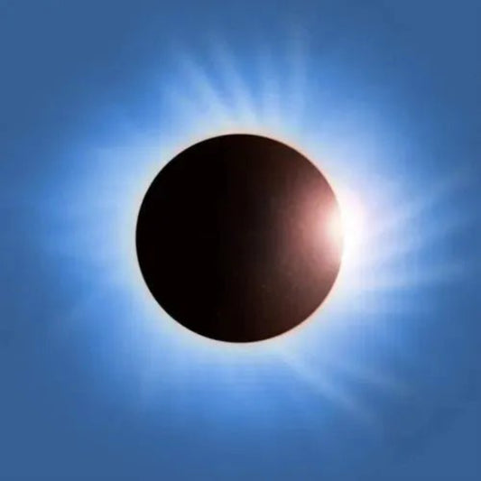 Battle for the Sun Placebo CD case front cover artwork image
