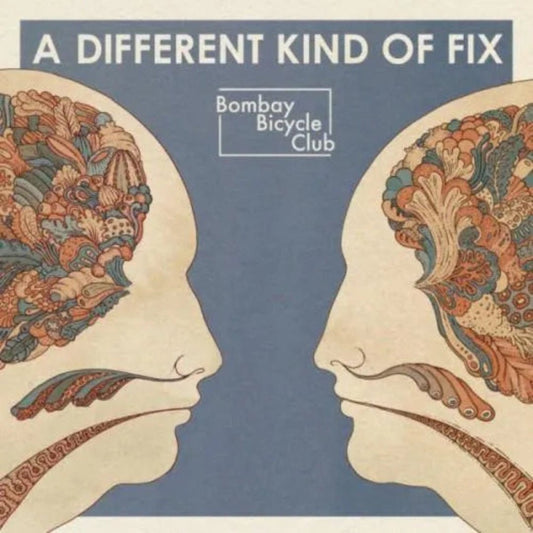 Bombay Bicycle Club A Different Kind Of Fix LP album cover indie rock release