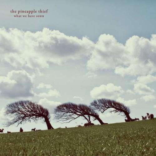 The Pineapple Thief - What We Have Sown 2 LP Set (KSCOPE1008) - Orchard Records