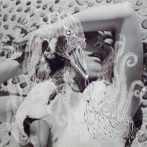 Bjork - Vespertine (TPLP101) 2 LP Set cover