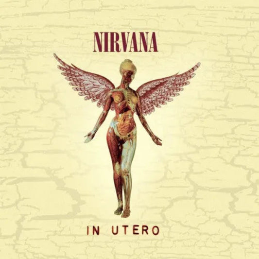 Nirvana In Utero CD cover featuring anatomical angel artwork