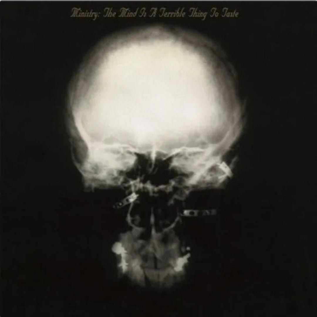 The Mind Is A Terrible Thing To Taste industrial metal vinyl record
