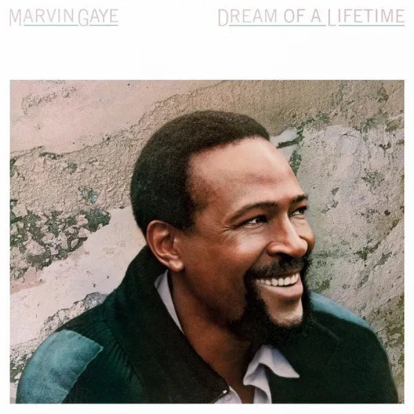 Marvin Gaye - Dream Of A Lifetime LP Blue Vinyl - 1 - LP - Orchard Records