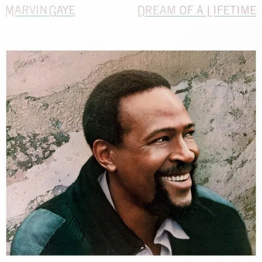 Marvin Gaye - Dream Of A Lifetime LP Blue Vinyl - 1 - LP - Orchard Records