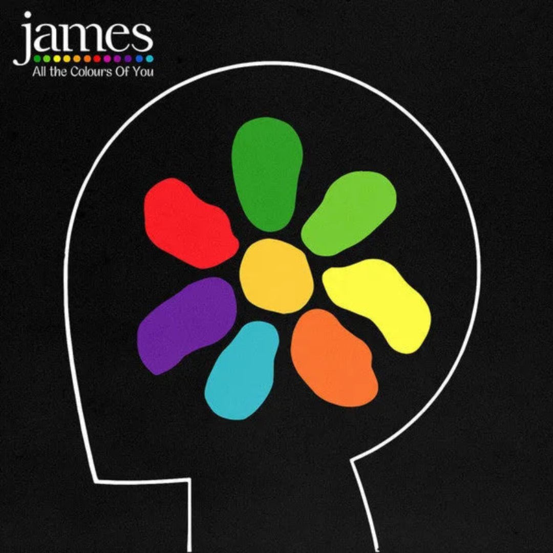 James All The Colours Of You 2 LP vinyl set with immersive indie-rock soundscapes.