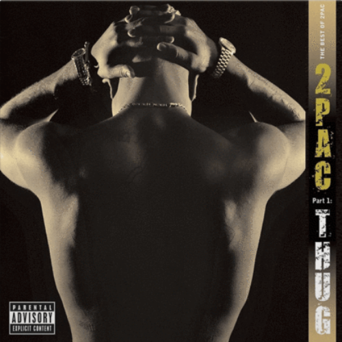 2Pac - The Best Of 2Pac Part 1:Thug (3521734) 2 LP Set