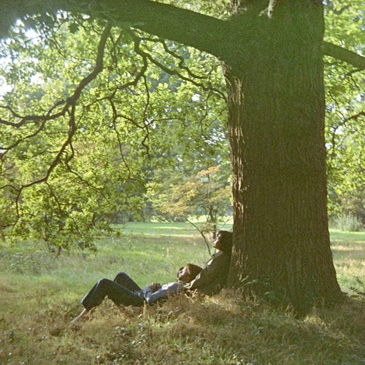 John Lennon - Plastic Ono Band 2 LP - 1 - LP - Orchard Records