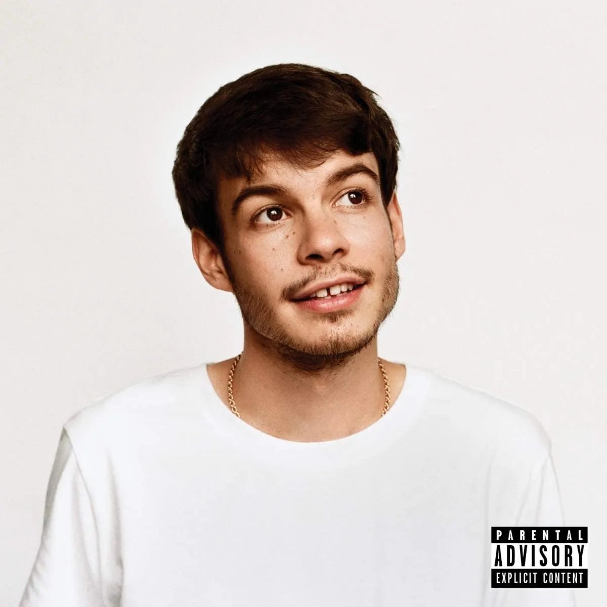 Rex Orange County - Pony LP - 1 - LP - Orchard Records