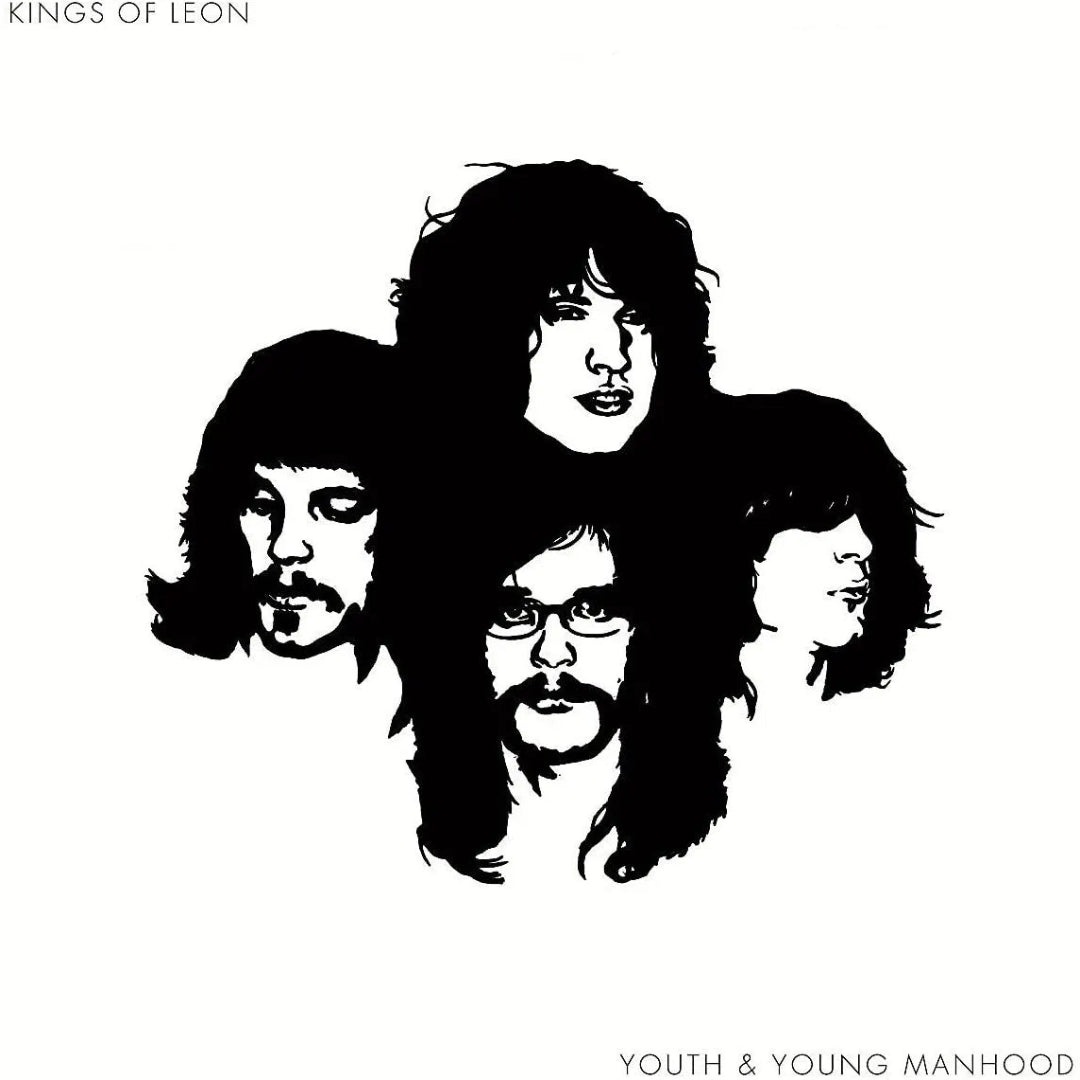 Kings Of Leon Youth and Young Manhood 2 LP vinyl set