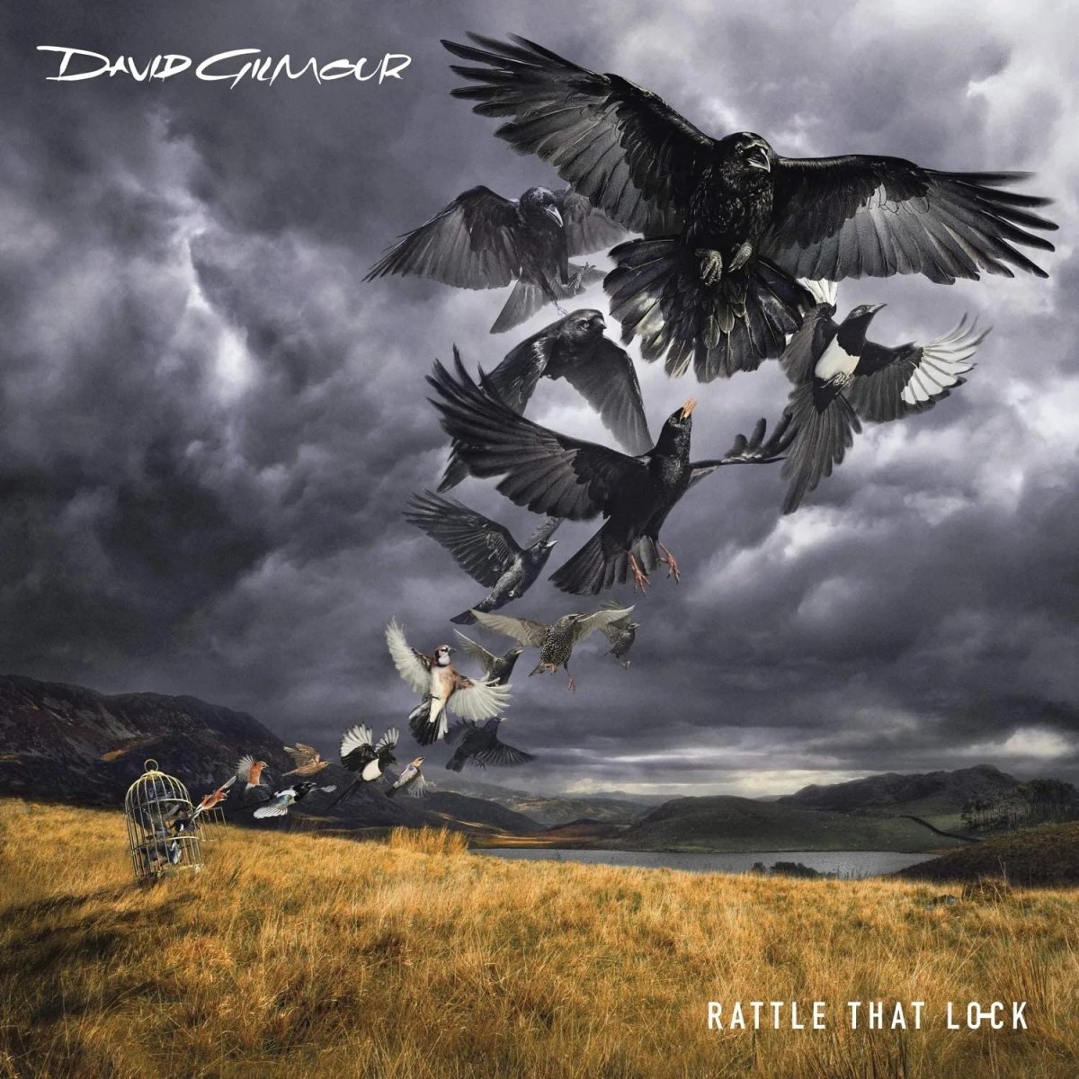 David Gilmour - Rattle That Lock LP - 1 - LP - Orchard Records