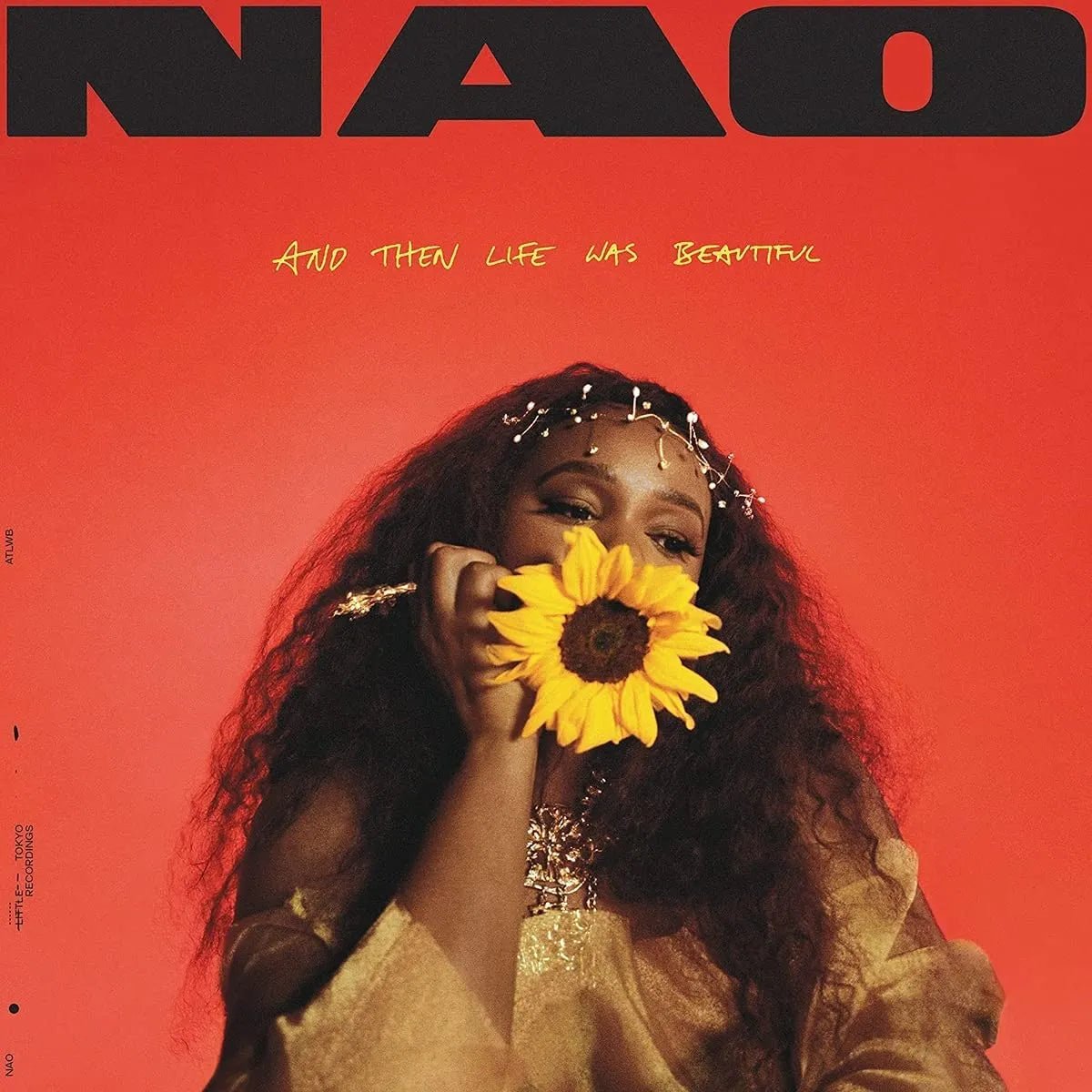 And Then Life Was Beautiful by Nao — a captivating vinyl album of heartfelt songs and innovative sounds.