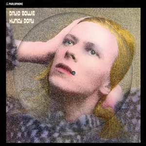 David Bowie - Hunky Dory (9672680) LP Picture Disc