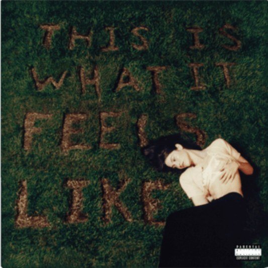 Close-up of Gracie Abrams album artwork 'This Is What It Feels Like' LP