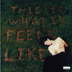 Gracie Abrams - This Is What It Feels Like (4612211) LP