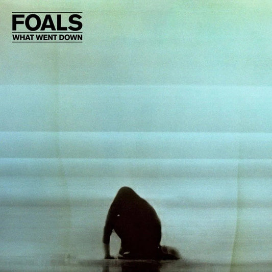 Foals - What Went Down LP - 1 - LP - Orchard Records