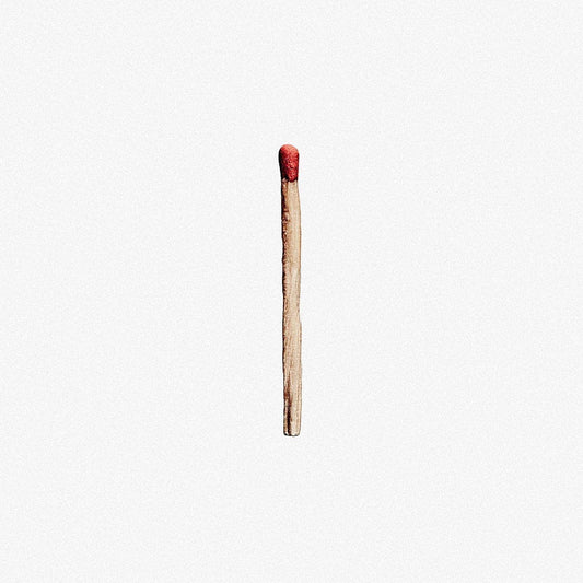Rammstein - Rammstein (77493942) 2 LP Set cover