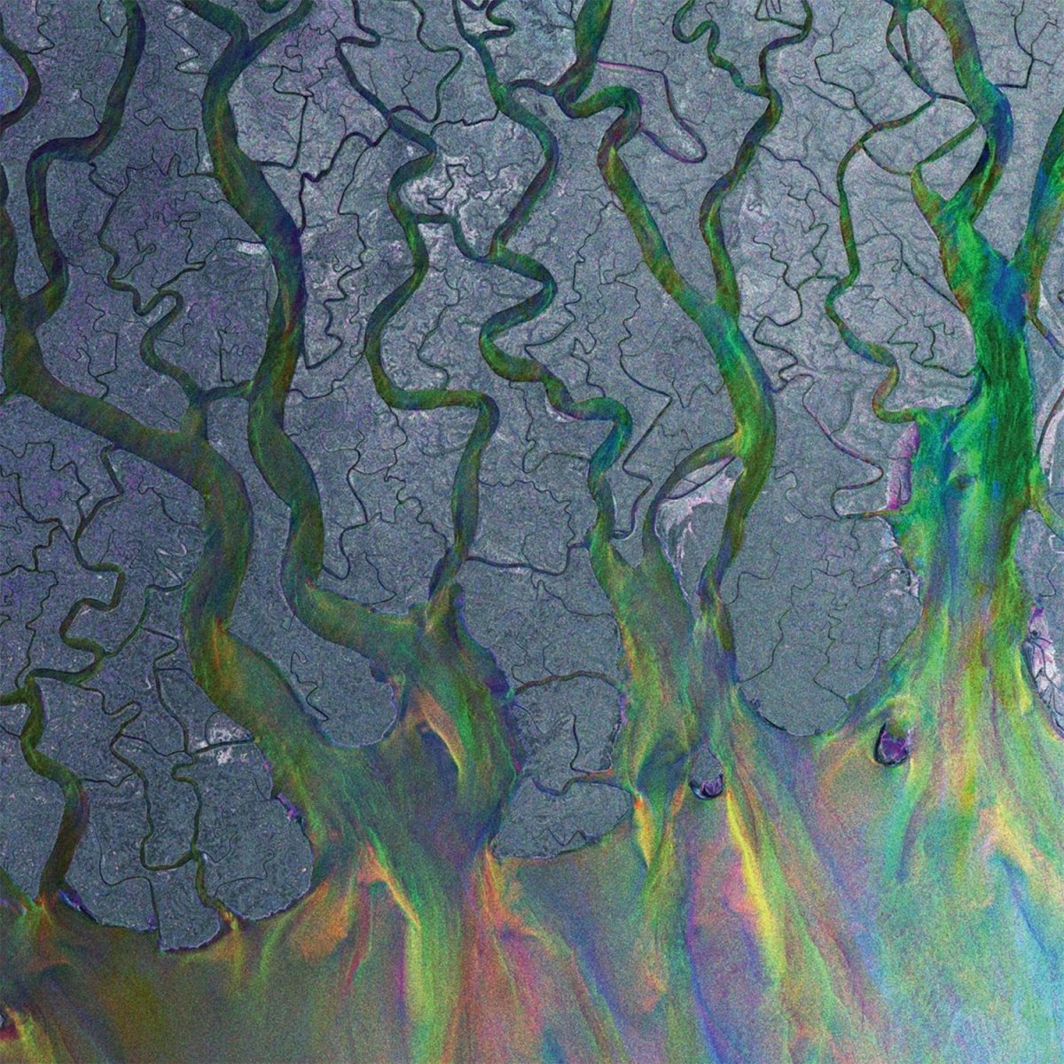 Alt-J - An Awesome Wave (53878991) LP White Vinyl cover