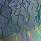 Alt-J - An Awesome Wave (53878991) LP White Vinyl