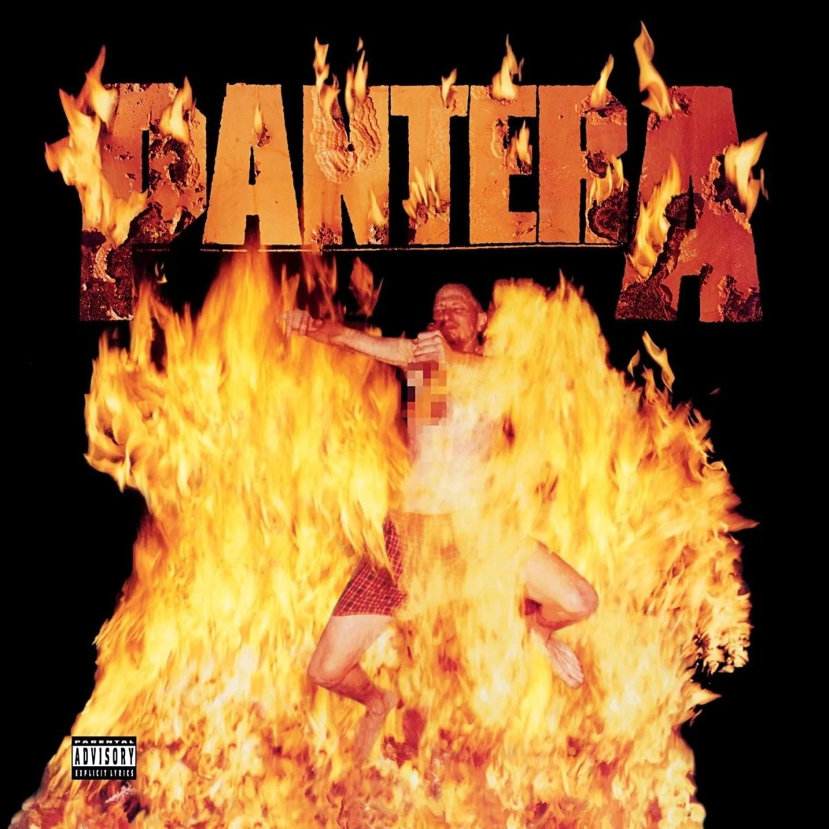 Pantera Reinventing The Steel LP vinyl heavy groove metal album artwork