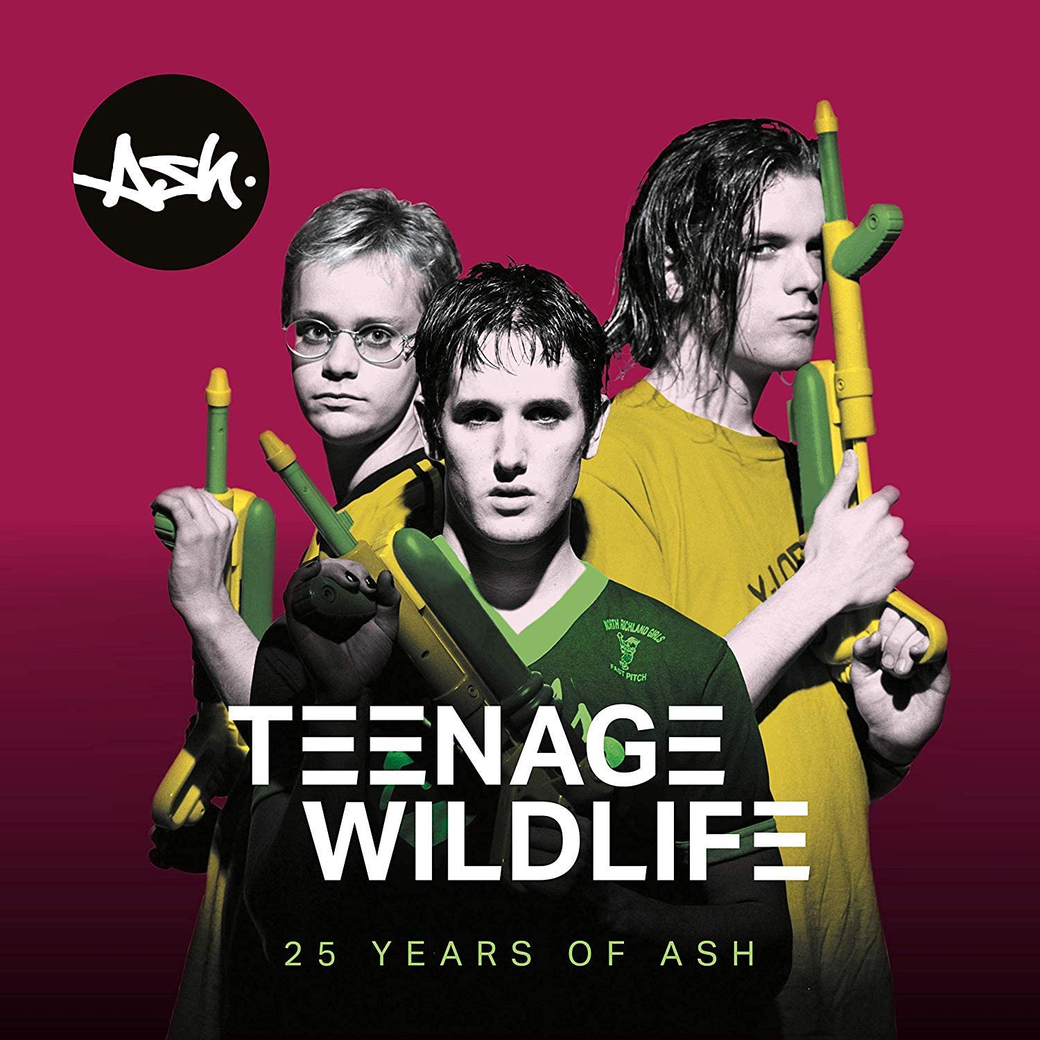 Ash 2 LP Teenage Wildlife anniversary vinyl alternative rock album release