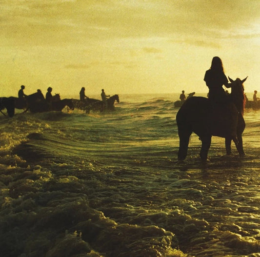 Foals - Holy Fire LP - 1 - LP - Orchard Records