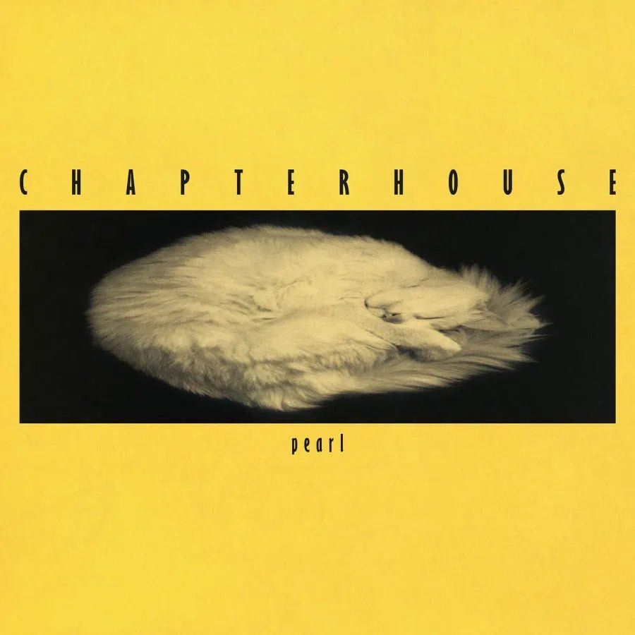 Chapterhouse Pearl single with backing vocals by Rachel Goswell of Slowdive