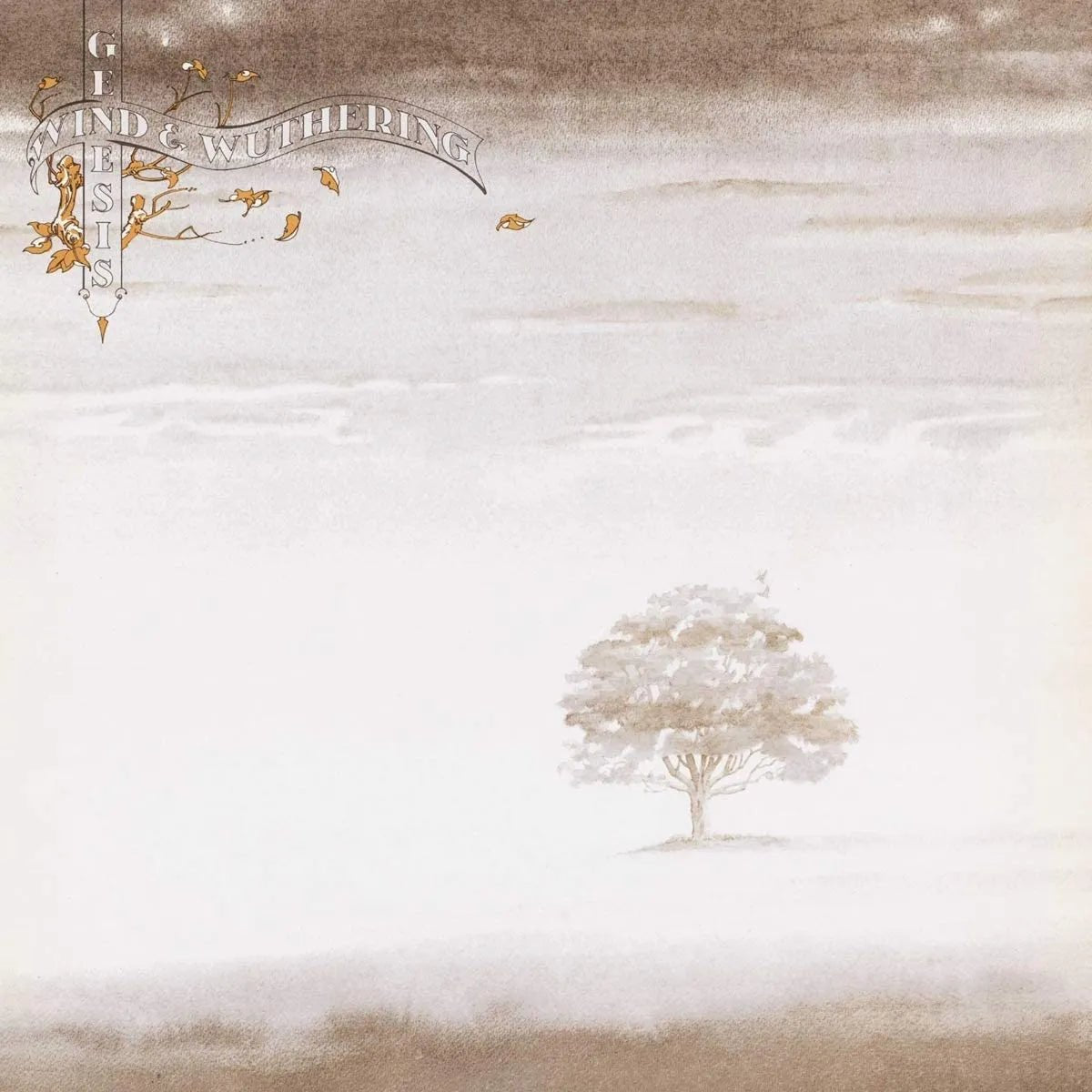 Genesis Wind And Wuthering LP vinyl album cover artwork classic prog rock release