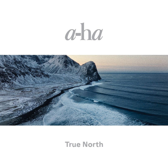 A-Ha - True North (19658708301) 2 LP Set Recycled Vinyl