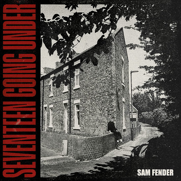 Sam Fender - Seventeen Going Under (3834457) LP