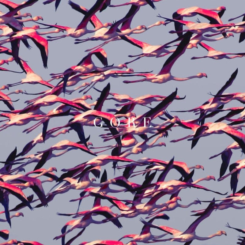 Deftones Gore vinyl LP featuring Prayers/Triangles and Phantom Bride

