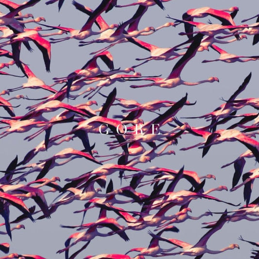 Deftones Gore vinyl LP featuring Prayers/Triangles and Phantom Bride

