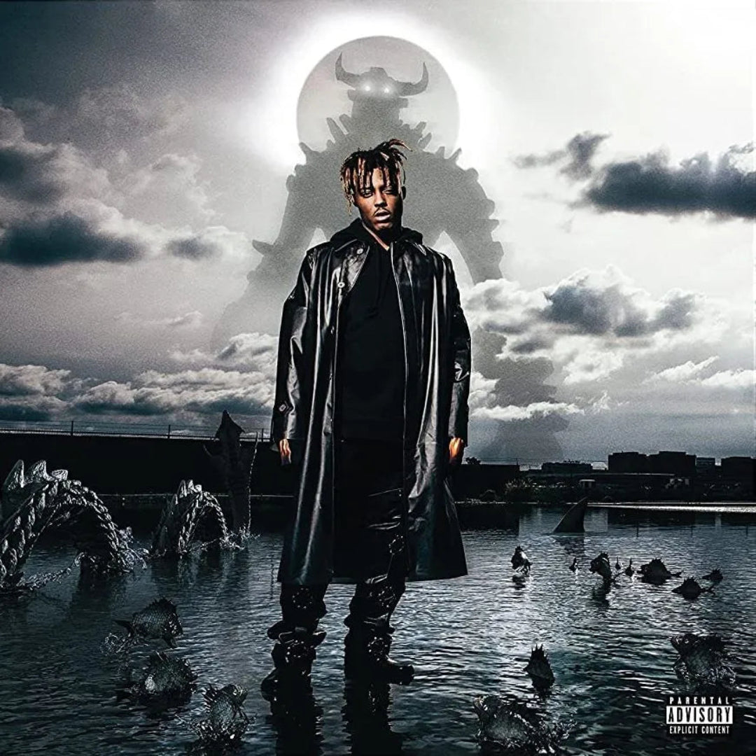 Juice WRLD Fighting Demons 2 LP set posthumous hip-hop vinyl