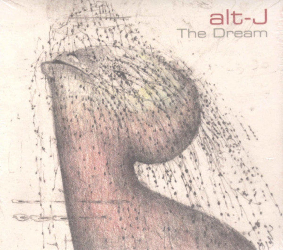 Alt-J 2022 album The Dream on compact disc format
