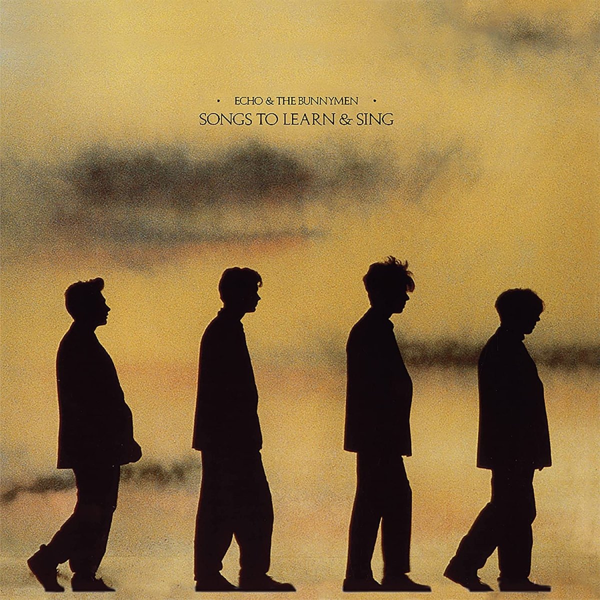 Echo and The Bunnymen Songs To Learn And Sing LP featuring iconic post-punk hits