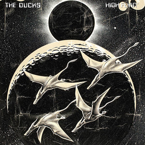 The Ducks - High Flyin' (2488506) 3 LP Set