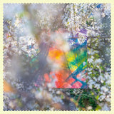 Four Tet’s Sixteen Oceans vinyl set with textured sleeve