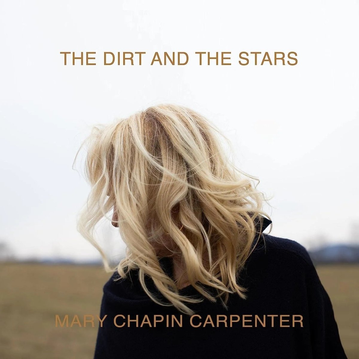 Mary Chapin Carpenter - The Dirt And The Stars 2 LP Clear Vinyl - 1 - LP - Orchard Records