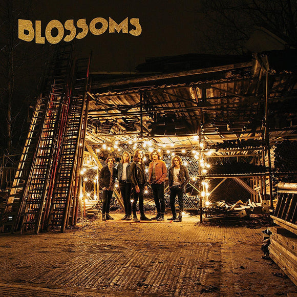 Blossoms - Blossoms (VX3156) LP