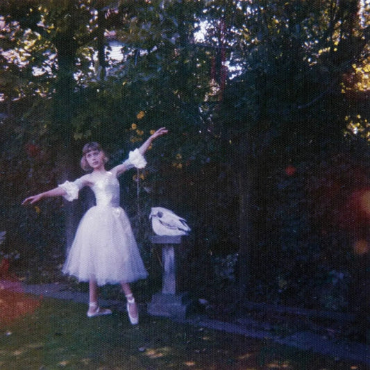 Wolf Alice Visions of a Life 2LP set featuring bold alternative rock album artwork